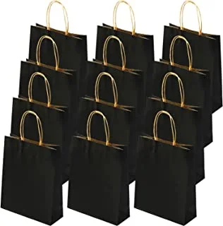 ECVV Gift Bags 12 Pieces Set Eco-Friendly Paper Bags With Handles Bulk Paper Bags Shopping Bags Kraft Bags Retail Bags Party Bags (BLACK, 21 * 15 * 8 Cm)
