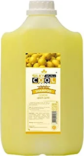 Silky Cool Shampoo with lemon extract for shiny and smooth hair 5L