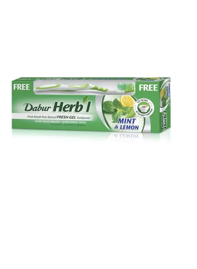 Dabur Herbal Fresh Gel Toothpaste + Toothbrush Free | With Mint & Lemon Extracts | Fresh Breath for Super White Teeth Multicolour 150grams