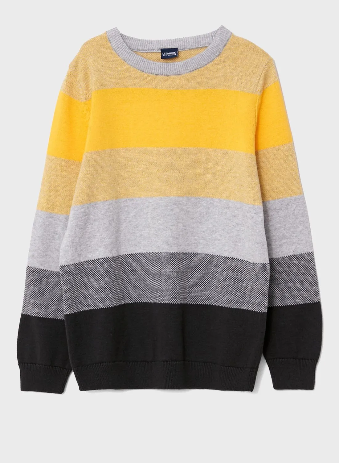 LC WAIKIKI Kids Colorblock Sweaters