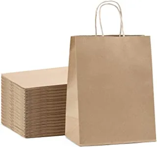 ECVV Gift Bags 12 Pieces Set Eco-Friendly Paper Bags With Handles Bulk Paper Bags Shopping Bags Kraft Bags Retail Bags Party Bags (BROWN, 27 * 22 * 11 Cm)