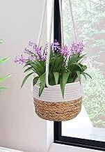 Ayra Handwoven Hanging Planter Basket with Cord - Indoor and Outdoor Flower Pot, Wall Hanging Plant Pots, Home and Office Decoration | Eco-Friendly Jute Material, Rustic Design Durable and Sturdy