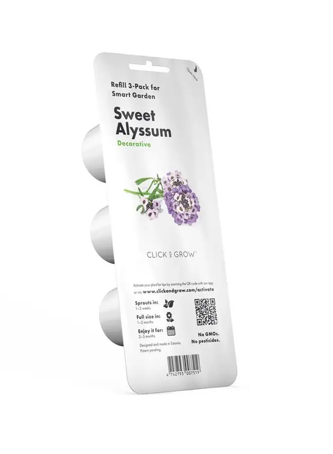 CLICK AND GROW 3 Pack Sweet Alyssum Seeds