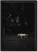 Lowha White Horse Across Wooden Fence Wall Art with Pan Wood Framed, 43 cm Length x 53 cm Width, Black
