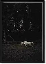 Lowha White Horse Across Wooden Fence Wall Art with Pan Wood Framed, 43 cm Length x 53 cm Width, Black