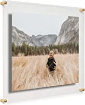 COOLMODERNFRAMES 16x20-Inch Clear Floating Double Panel Acrylic Picture Frame, Gold Hardware for Transforming and Displaying Art and Photos