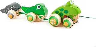 Hape Wooden Frog-Themed Push and Pull-Along Toy