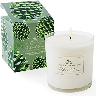 Soap and Paper Factory Roland Pine Candle, 9.5 oz