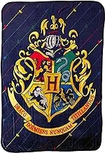 Harry Potter Micro Raschel Throw Blanket, 46 x 60 Inches, House Pinstripes