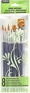 Pebeo Flat Round Creative Leisure Brushes 8 Pieces Pouch