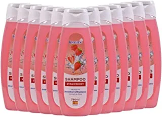 12 PCS Lavarov Shampoo Strawberry, (12pcs x 750ml)