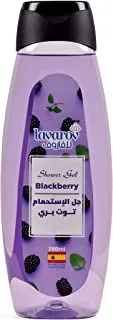 Lavarov Shower Gel Blackberry 750ml