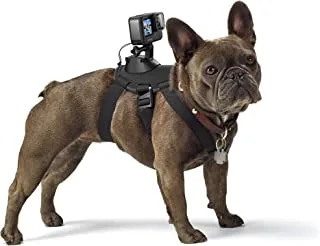 GoPro Fetch Dog Harness (All GoPro Cameras) - Official GoPro Mount