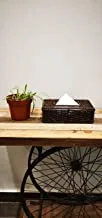 Ayra Ethnic Natural Rattan Handmade Tissue Box Cover | Napkin Box with Lid | Paper Towel Holder Dispenser | Tissue Holder for Bathroom, Bedroom, Office, Living Room and Kitchen (Rectangle)
