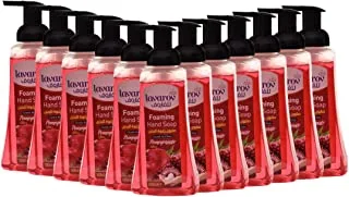 12 PCS Lavarov Foaming Hand Soap - Pomegranate, (12pcs x 500ml)