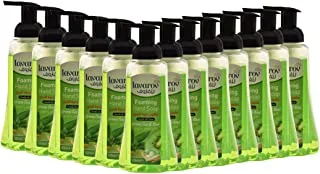 12 PCS Lavarov Foaming Hand Soap - Green Tea & Kiwi, (12pcs x 500ml)