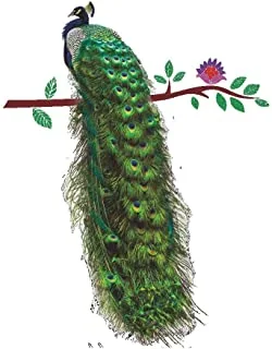Peacock Animals Flower On Branch Feathers Wall Stickers 3D Vivid Wall Decals Home Decor Art Decal Poster Animals Home Deco