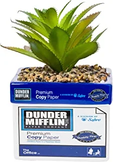 Silver Buffalo The Office Dunder Mifflin Paper Box نباتات خضراء صناعية مزخرفة بالزينة من السيراميك