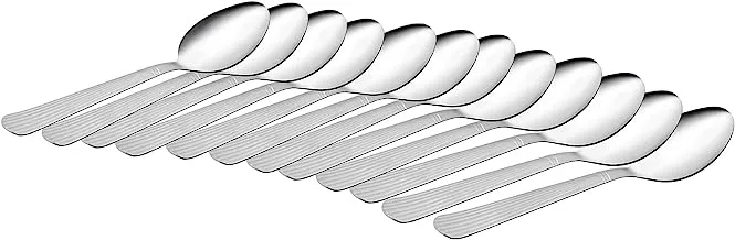 12 Piece Stainless Steel Spoon Set