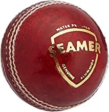SG Seamer Leather Cricket Ball