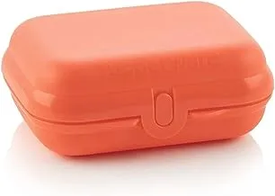 Tupperware Eco + Cozy-Bio Accessory Oysters Box صغير