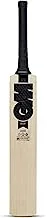 مضرب الكريكيت GM Noir 404 English Willow Cricket Bat للرجال والأولاد | الحجم 6 | جاهز للعب | خفيف الوزن | تغطية مجانية