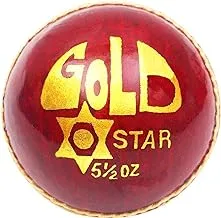 Vicky Gold Star Leather Ball, 2 Pcs, Maroon, (Pack of 1),Maroon