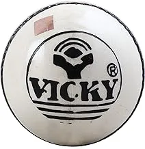 Vicky Smash Leather Ball, 4 Pcs, White, (Pack of 1),White