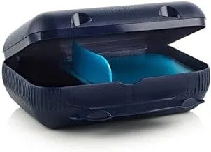 Tupperware Plastic Everyday Lunch Box, 22.4 cm x 15 cm x 8 cm Size, Dark Blue