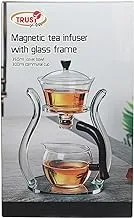 Magnetic Tea Infuser With Glass Frame (25.5)