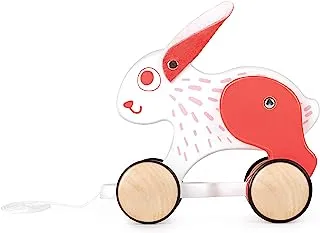Hape Push and Pull Bunny Wooden Pull Along Toy