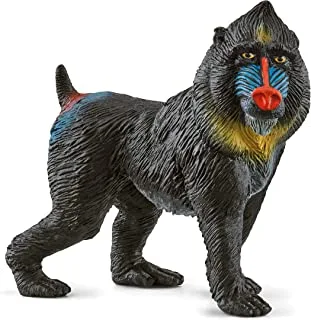 Schleich Wild Life, Safari Animal Toy Figures for Girls and Boys Ages 3 and Above, Mandrill Monkey Figurine
