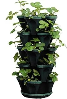 Mr. Stacky 1305-HG 5-Tier Stackable Strawberry, Herb, Flower, & Vegetable Planter - Vertical Gardening Indoor/Outdoor Stacking Garden Pots Hunter Green 22.5 Quarts
