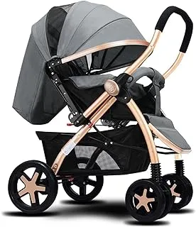 Dreeba Two Way Foldable Push Baby Stroller- 859H-Gray, with Storage Basket, Travel Stroller, Rear Breaks, Compact Foldable Design