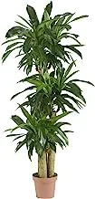 Nearly Natural - 6584 62in. Corn Stalk Dracaena Silk Plant (Real Touch), 24