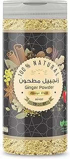 Astra Ginger Powder, 190 gm