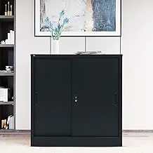 RIGID Steel Sliding Door Cupboard Low Hight Steel Filing Cabinet with Shelves Storage (Black)