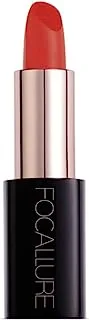 Focallure Lacquer Lipstick, 10#(Magnet Cap), 10 gm