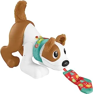 Fisher-Price 123 Crawl With Me Puppy, electronic dog infant crawling toy with music and Smart Stages learning content for infants and toddlers