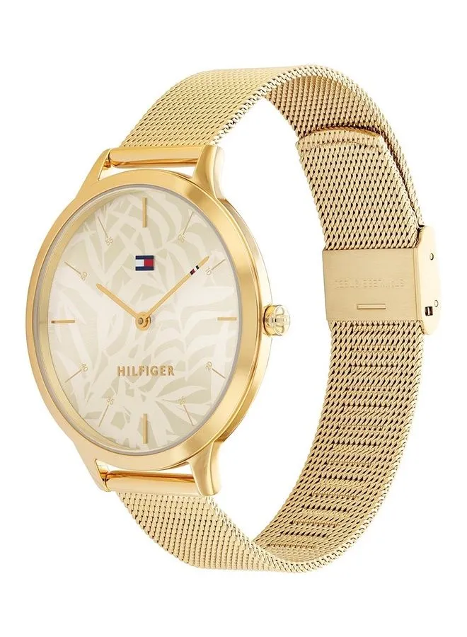 TOMMY HILFIGER Women's Stainless Steel Analog Wrist Watch 1782494