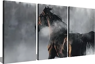 Markat S3TC4060-0708 ثلاث لوحات من قماش اللوحات الزخرفية لجمال الحصان ، مقاس 40 سم × 60 سم