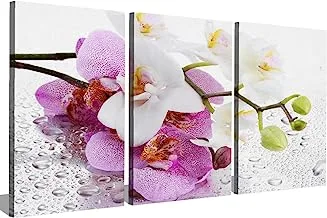 Markat S3TC4060-0280 Three Panels Canvas Paintings of Nature for Decoration, 40 cm x 60 cm Size