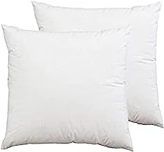 Soft 2Pcs Plain Hotel Cushion- 45 X 45 cm, Plain-2, White, Polyester