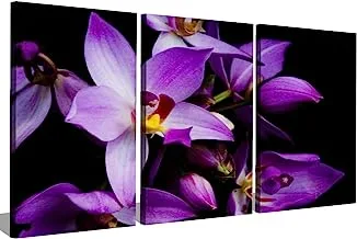 Markat S3T4060-0250 Three Panels Wooden Paintings of Nature Decor, 40 cm x 60 cm Size