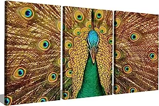 Markat S3TC4060-0283 لوحات طاووس قماشية مزخرفة بثلاث لوحات ، مقاس 40 سم × 60 سم