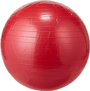 Leader Sport LS-3179 Gym Ball with Foot Pump 75 cm Size