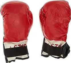 Leader Sport GLTQ6 Boxing Gloves 6 Oz