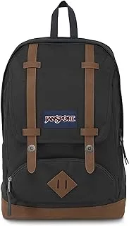 JANSPORT unisex-adult (luggage only) Cortlandt Everyday Advanture Tech Backpack