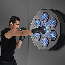 FMQSHOP Music Boxing Wall Target,Smart Boxing Machine, Punching Training Equipment with Music and Lighting, Speed Hand Eye Reaction And Coordination, for Home,Gym Workout and Stress Relief