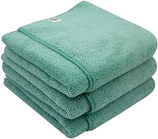 Chemical Guys MIC36403 Workhorse XL Green Professional Grade Microfiber Towel, Exterior (Safe for Car Wash, Home Cleaning & Pet Drying Cloths) 24